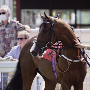 Redcar | Go Racing in Yorkshire | 18/7/21