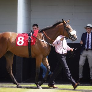 Redcar | Go Racing in Yorkshire | 18/7/21