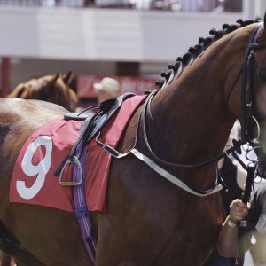 Redcar | Go Racing in Yorkshire | 18/7/21