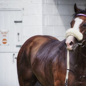 Redcar | Go Racing in Yorkshire | 18/7/21