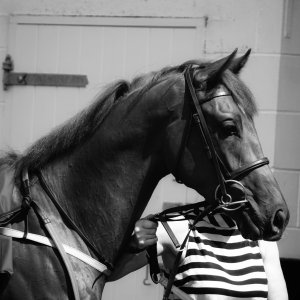 Redcar | Go Racing in Yorkshire | 18/7/21