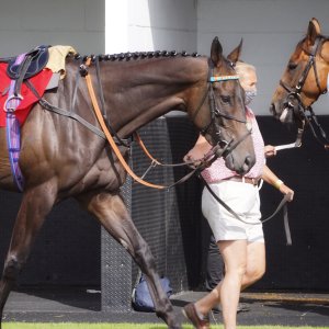 Redcar | Go Racing in Yorkshire | 18/7/21