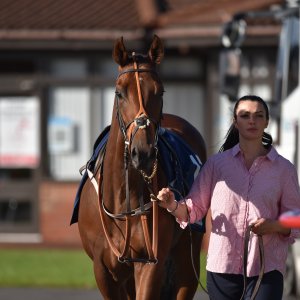 Redcar | 2 YO Trophy | 1/10/22