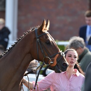 Redcar | 2 YO Trophy | 1/10/22