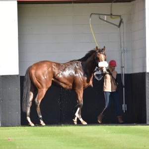 Redcar | 2 YO Trophy | 1/10/22