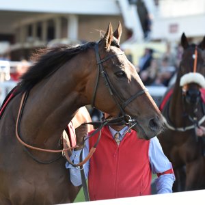 Redcar | 2 YO Trophy | 1/10/22