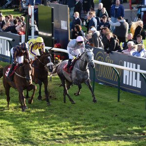 Redcar | 2 YO Trophy | 1/10/22