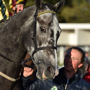 Redcar | 2 YO Trophy | 1/10/22