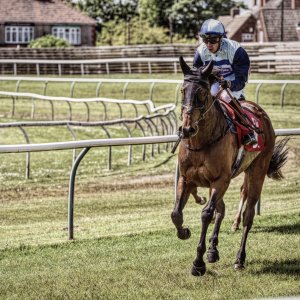 Redcar | Zetland Gold Cup | 29/5/23
