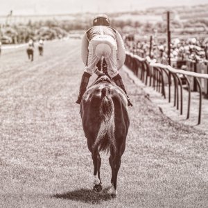 Redcar | Zetland Gold Cup | 29/5/23