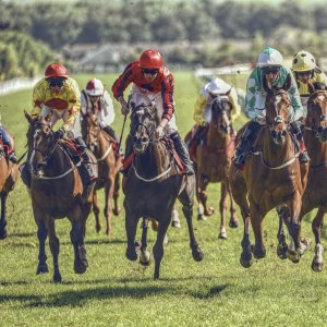 Redcar | Zetland Gold Cup | 29/5/23