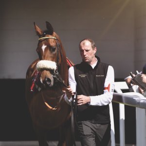 Redcar | Zetland Gold Cup | 29/5/23