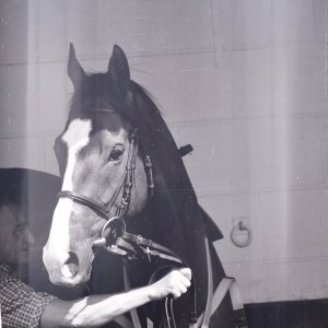 Redcar | Zetland Gold Cup | 29/5/23