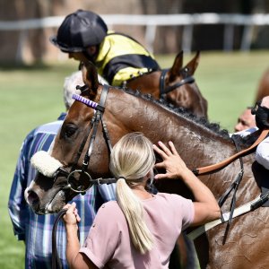 Ripon | Go Racing Yorkshire | 16/7/22