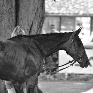 Ripon | Go Racing Yorkshire | 16/7/22