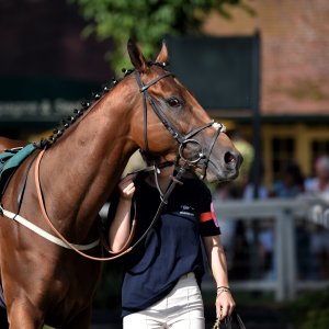 Ripon | Go Racing Yorkshire | 16/7/22