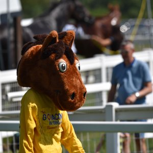 Ripon | Go Racing Yorkshire | 16/7/22