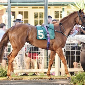 Ripon | Go Racing Yorkshire | 16/7/22