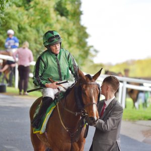 Sandown Park | Jump Finale | 29/4/23