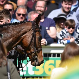 Sandown Park | Jump Finale | 29/4/23