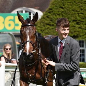 Sandown Park | Jump Finale | 29/4/23
