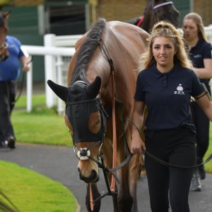 Sandown Park | Jump Finale | 29/4/23
