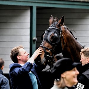 Sandown Park | Jump Finale | 27/4/24