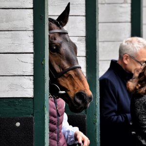 Sandown Park | Jump Finale | 27/4/24