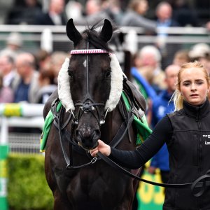 Sandown Park | Jump Finale | 27/4/24