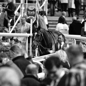 York | Dante Festival | 13/5/22