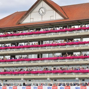 York | Ebor Festival | 26/8/23