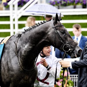 York | 65th John Smith's Cup | 13/7/24