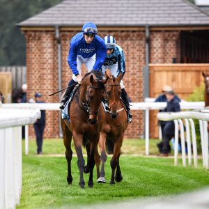 York | 65th John Smith's Cup | 13/7/24