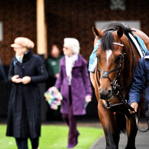 York | 65th John Smith's Cup | 13/7/24