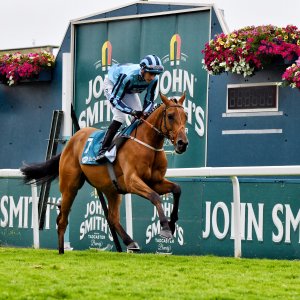 York | 65th John Smith's Cup | 13/7/24