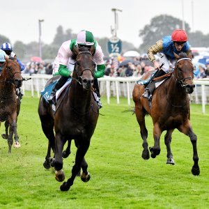 York | 65th John Smith's Cup | 13/7/24