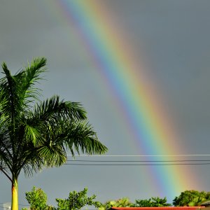Barbados, Caribbean Island