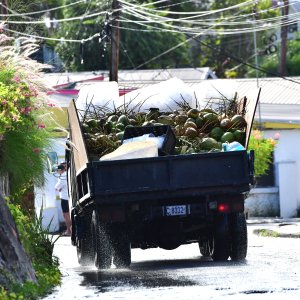 Barbados, Caribbean Island