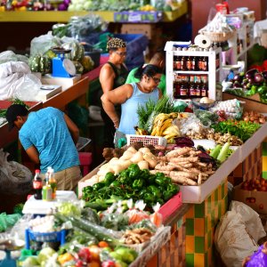 Barbados, Caribbean Island