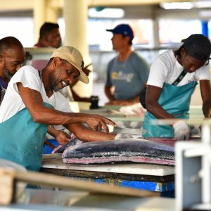 Barbados, Caribbean Island