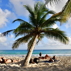 Barbados, Caribbean Island