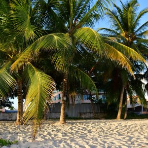 Barbados, Caribbean Island