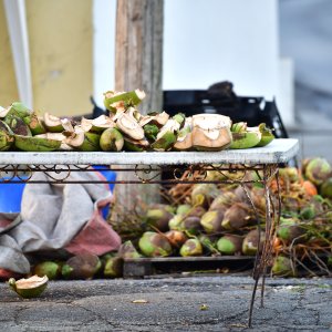 Barbados, Caribbean Island