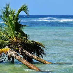 Barbados, Caribbean Island