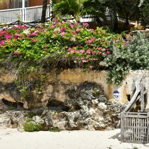 Barbados, Caribbean Island