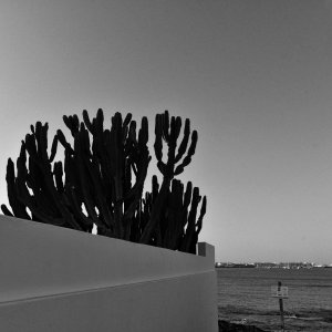 Fuerteventura
