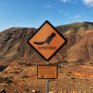 Fuerteventura