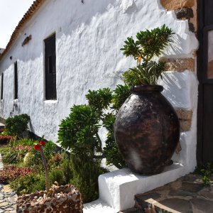 Fuerteventura