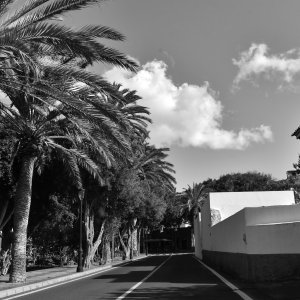 Fuerteventura