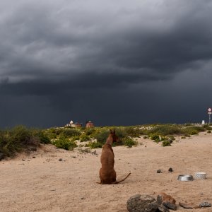 Fuerteventura